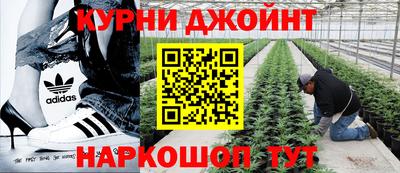 прущие крисы Кулебаки
